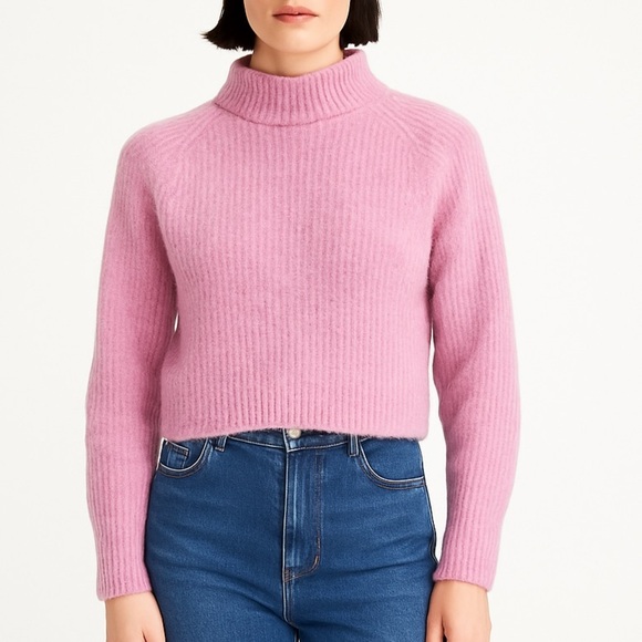 Everlane Sweaters - Everlane alpaca mock neck cozy ribbed sweater XS pink